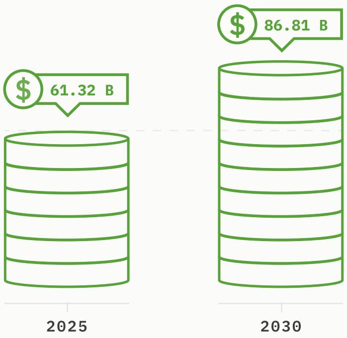 The figure illustrates the evolution of a financial dataset over time, specifically from 2025 to 2030. The dataset is represented by a series of vertical bars, each corresponding to a year. The bars are color-coded in green and are arranged in ascending order from left to right, indicating the progression of time.

At the top of each bar, there is a monetary value represented by a dollar sign ($). The values increase from left to right, showing an upward trend in the dataset. Specifically:

- In 2025, the value is $61.32.
- By 2030, the value has increased to $86.81.

The figure also includes a label "B" next to the monetary value in 2025, which might indicate a specific category or type of data within the dataset. The overall message conveyed by the figure is that the financial dataset has grown significantly over the years, with a notable increase in value from 2025 to 2030.