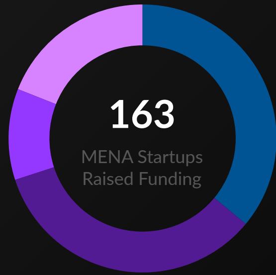 This donut chart illustrates that 163 startups in the MENA region successfully secured funding. The segmented ring visually represents the distribution of these startups across different categories or regions.