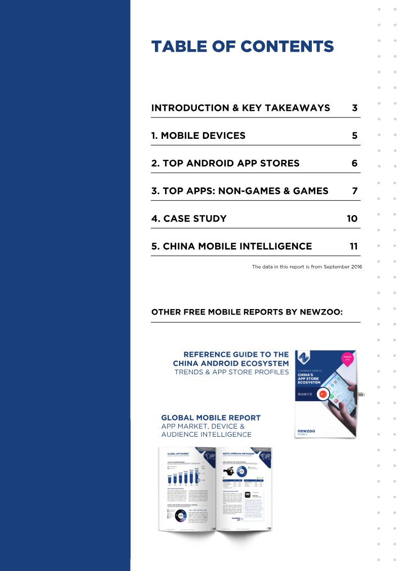 Page 2 of the report