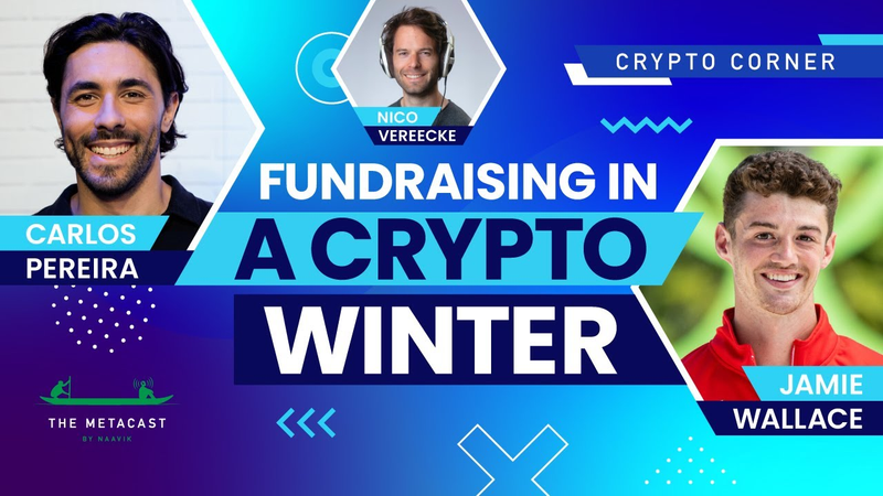 Cover of Fundraising in a Crypto Winter - The Metacast by Naavik