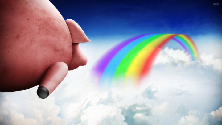 Cover of 2019 Predictions: Social Casino Gets Disrupted by a Pig and a Pirate