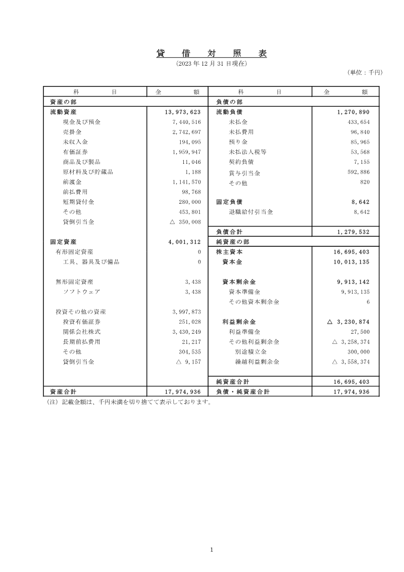 Cover of SNK Corporation Financial Statements: 23rd Fiscal Period Ended December 2023