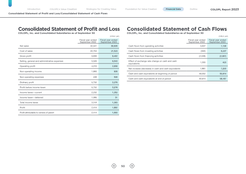 Page 51 of the report