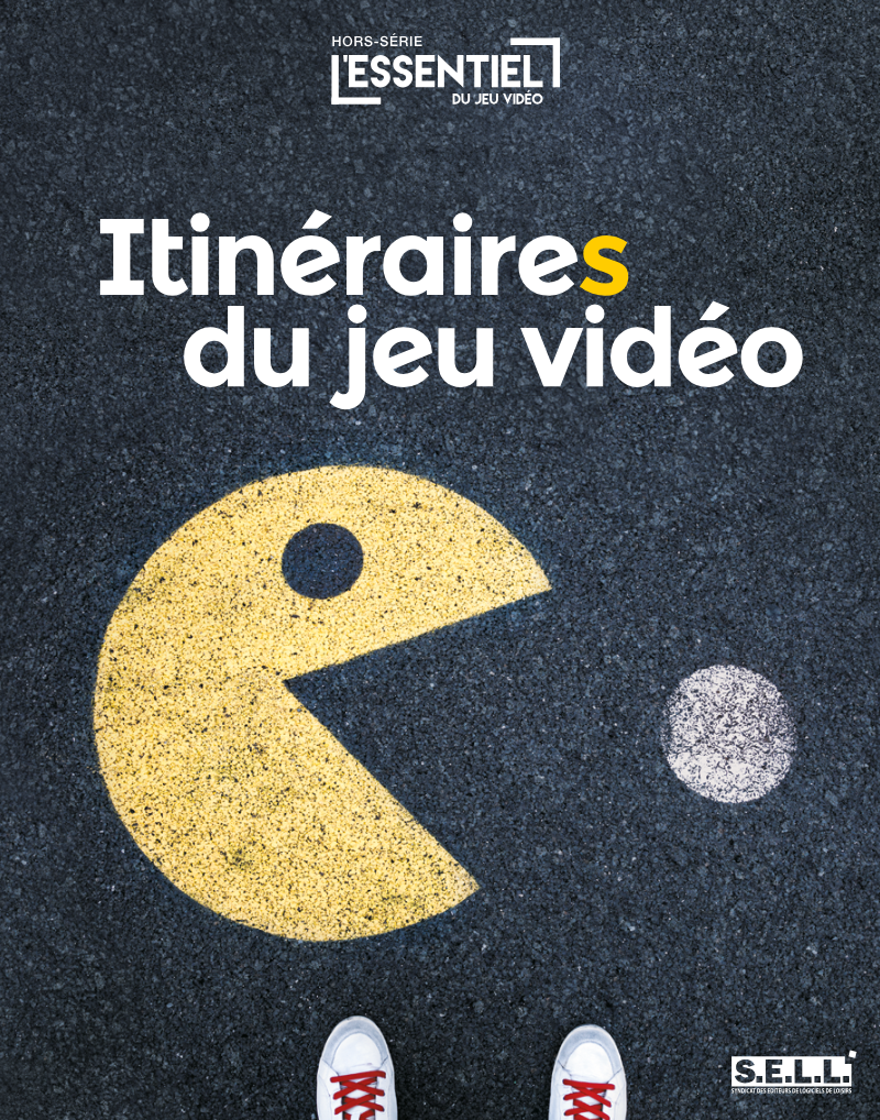 Cover of Itinéraires du jeu vidéo: 2017