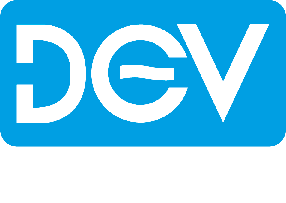 Cover of El Impacto de la Crisis de COVID-19 en el Negocio de la Industria de Desarrollo de Videojuegos: España