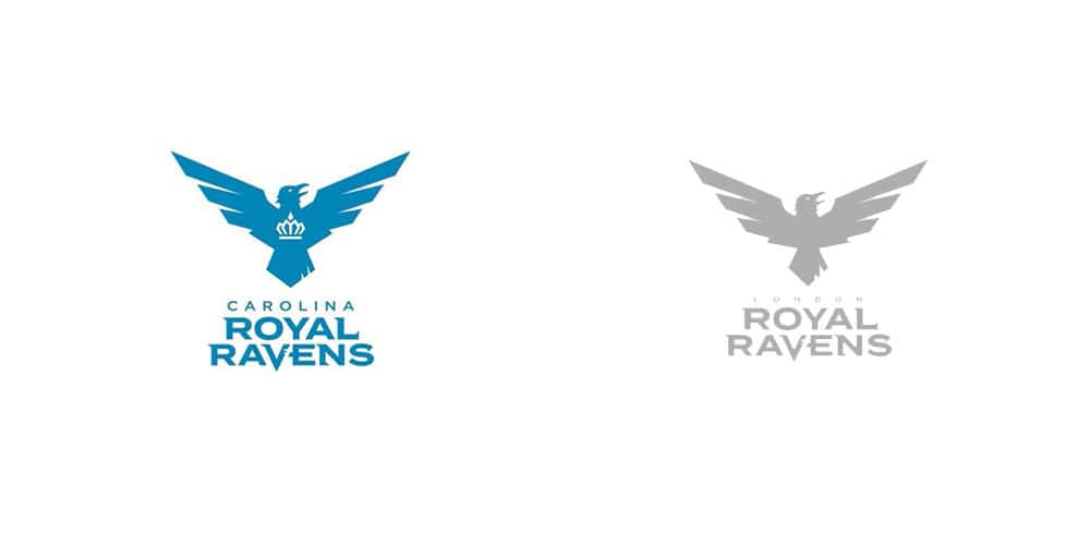 Cover of London Royal Ravens Moving to Charlotte, North Carolina