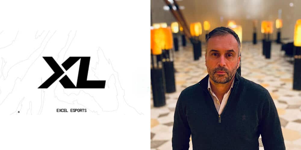 Cover of Wouter Sleijffers Leaves EXCEL Esports