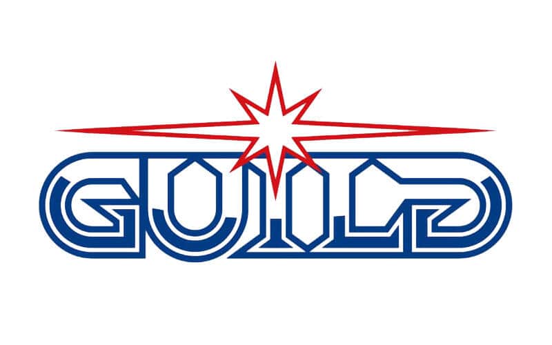 Cover of Guild Esports Promotes Jasmine Skee to CEO