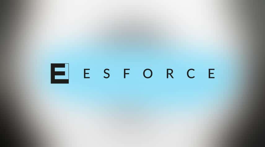 Cover of Nikkolai Petrossian Leaves CEO Role at ESforce