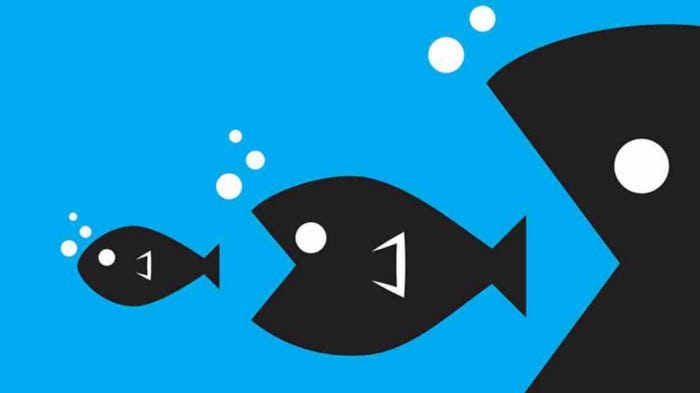 Cover of Video Game Cannibalization: What the Experts Get Wrong