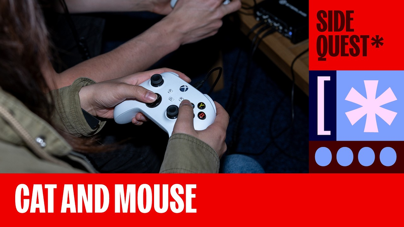 Cover of 'Cat and Mouse Forever': Ex-Blizzard Risk Ops Expert on Addressing Cheaters