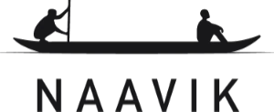 Naavik logo